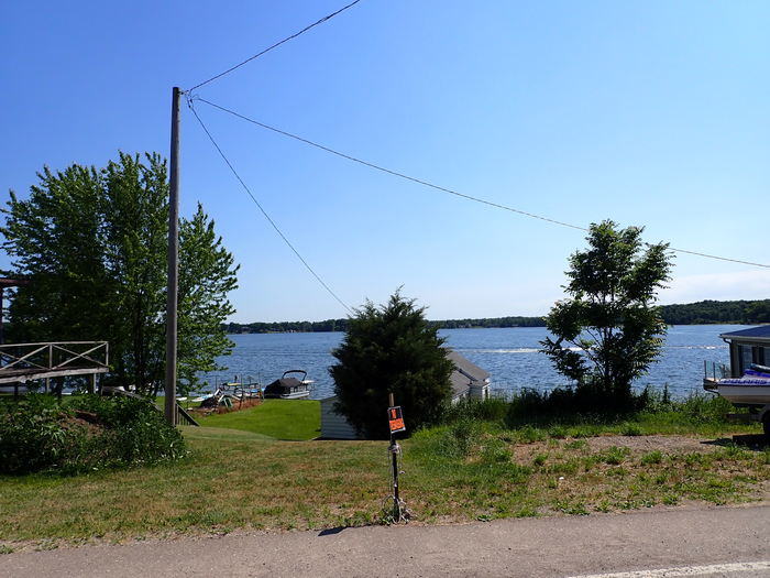 Elba  - 2020-2021 Photo (newer photo)